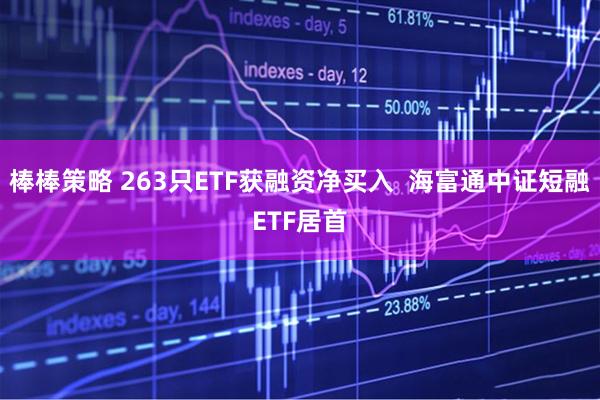 棒棒策略 263只ETF获融资净买入  海富通中证短融ETF居首