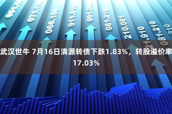 武汉世牛 7月16日清源转债下跌1.83%，转股溢价率17.03%