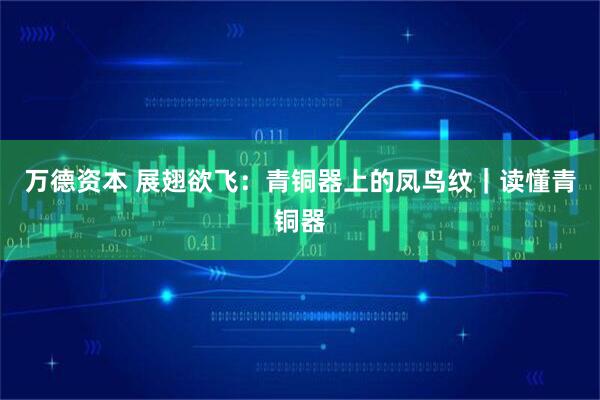 万德资本 展翅欲飞：青铜器上的凤鸟纹｜读懂青铜器